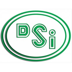 DSI(Dong Seo Incorporated)